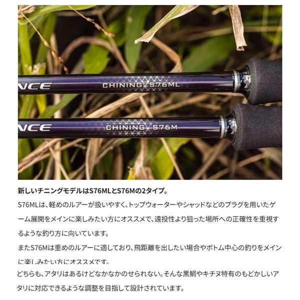 19 SALTY ADVANCE ジギング